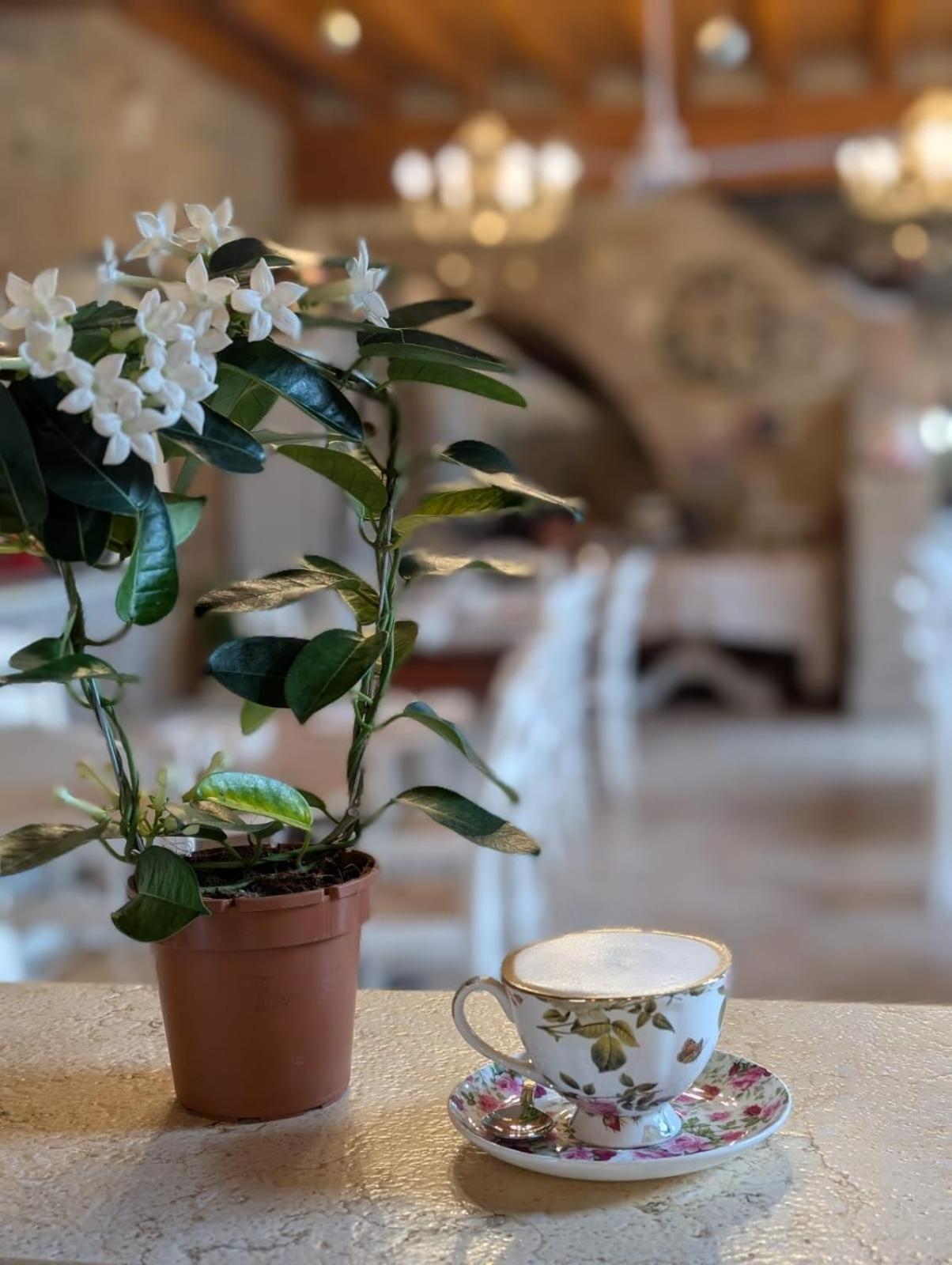 Agriturismo Le Fontanelle Da Valente Montichiari Εξωτερικό φωτογραφία